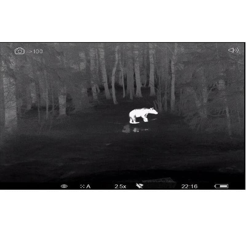 Pulsar-Accolade-2-LRF-XP50-Pro-4