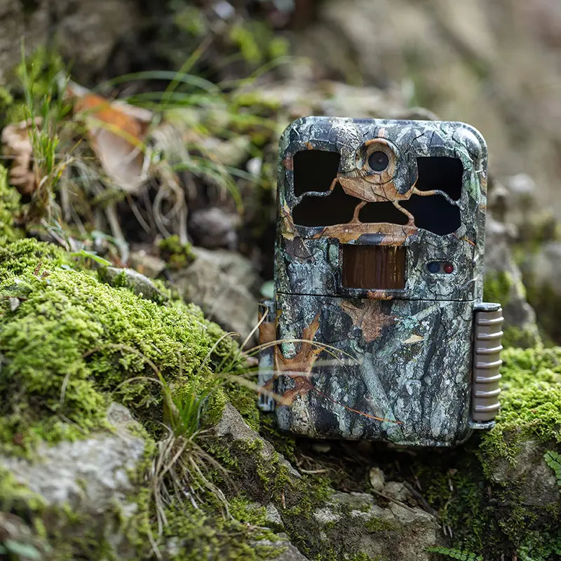 Wildkamera im Camo-Design auf bemoostem Felsen im Wald