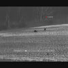 JSA-Night-Lux-HogHunter-Shutterless-System